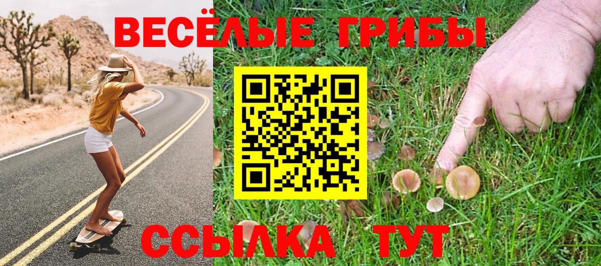 Галлюциногенные грибы GOLDEN TEACHER Углич